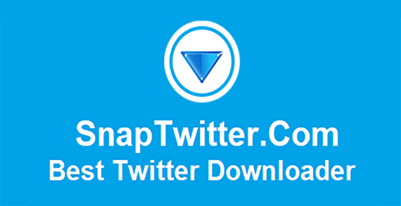 Cara Download Video Twitter Melalui Situs SnapTwitter.com